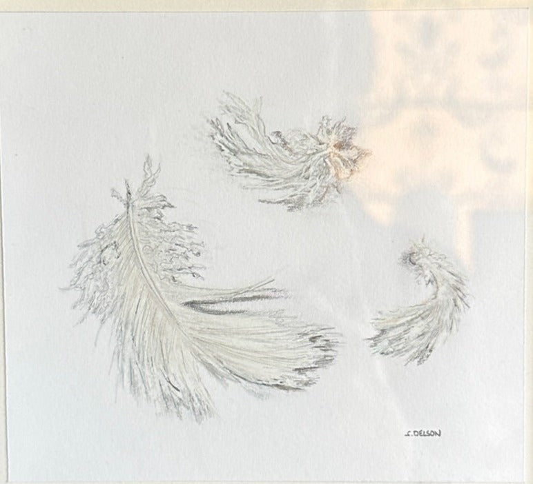 Feathers