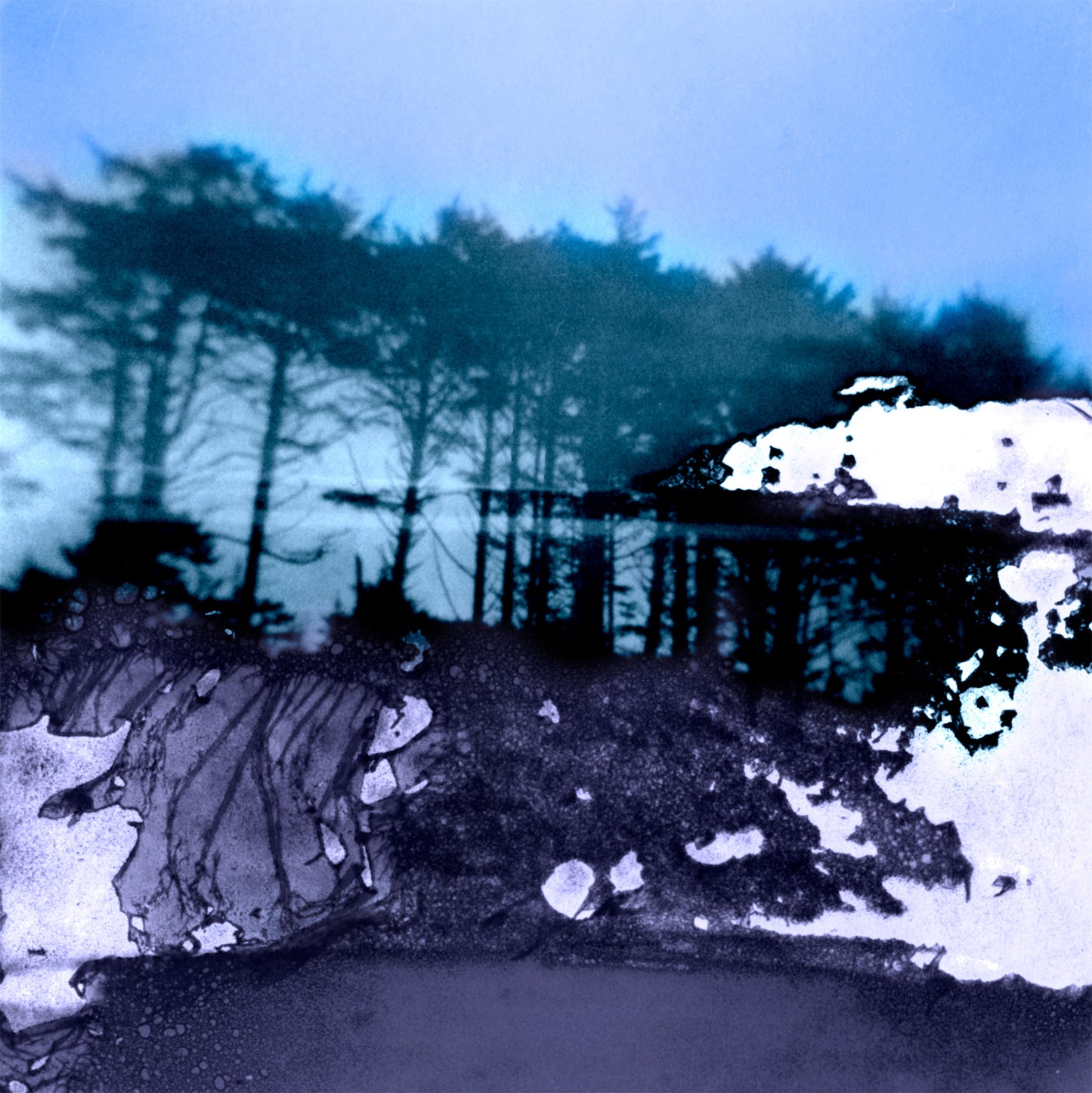 Altered Landscape: Olympic Peninsula