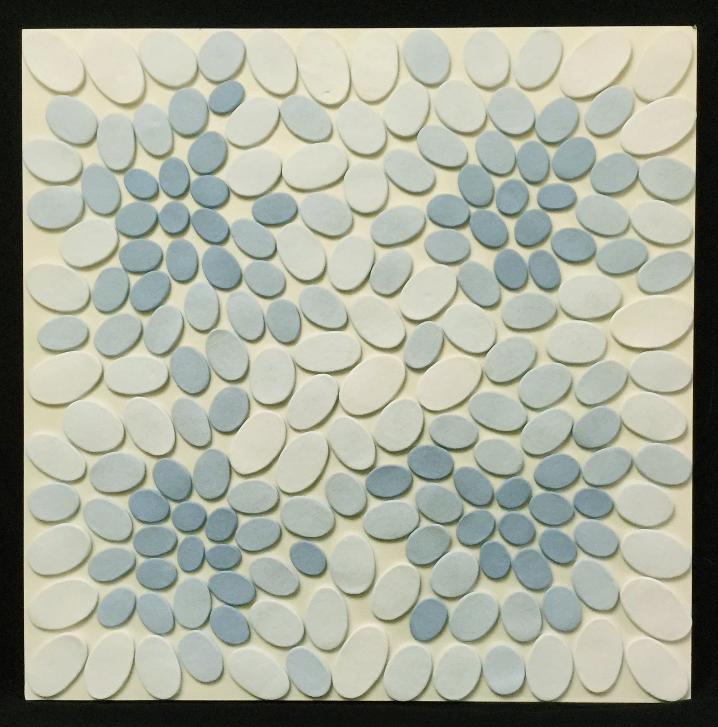 Coelenterata XIV