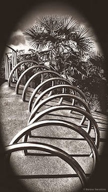 Rings & Palms