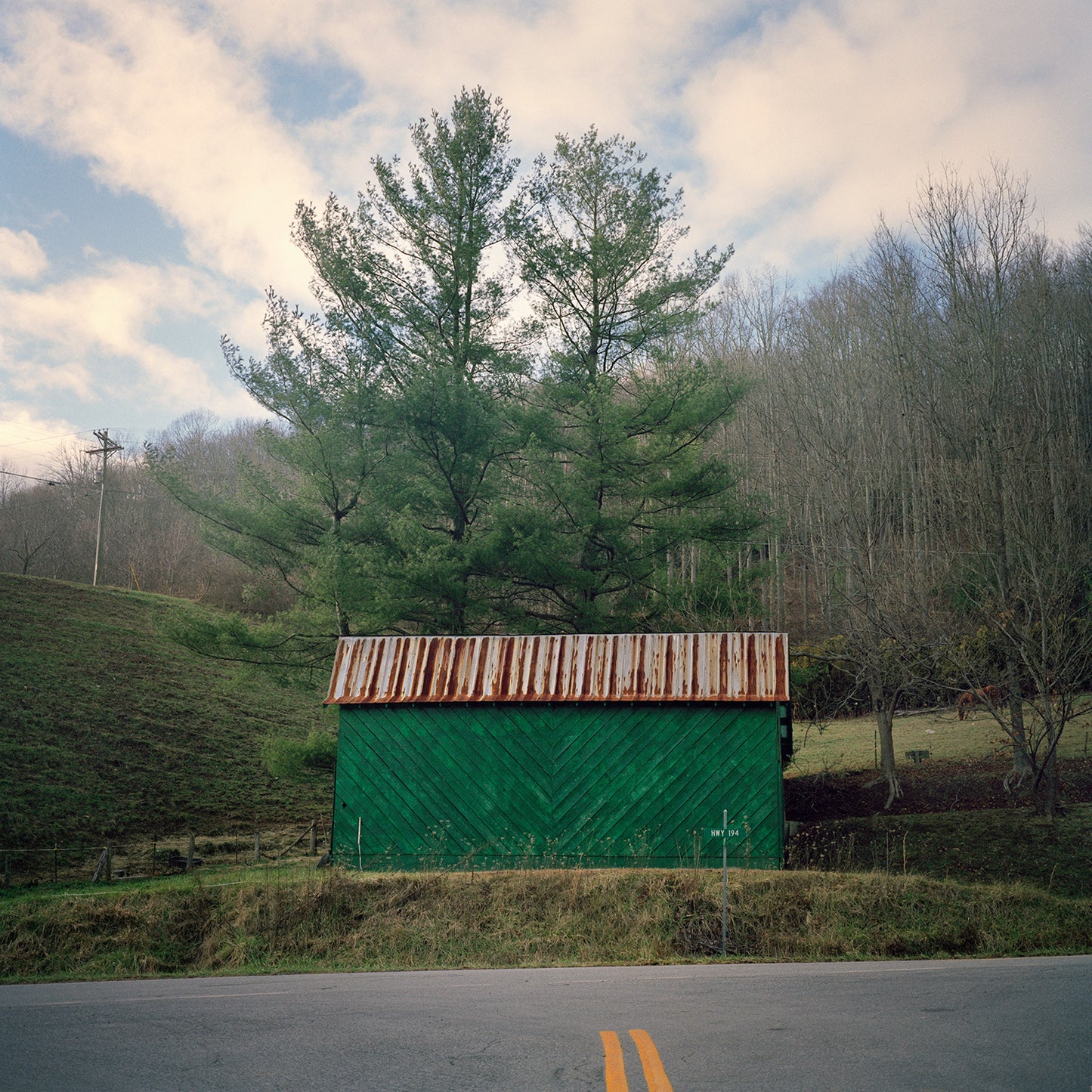 Green Barn and Pine Trees, Boone, North Carolina
