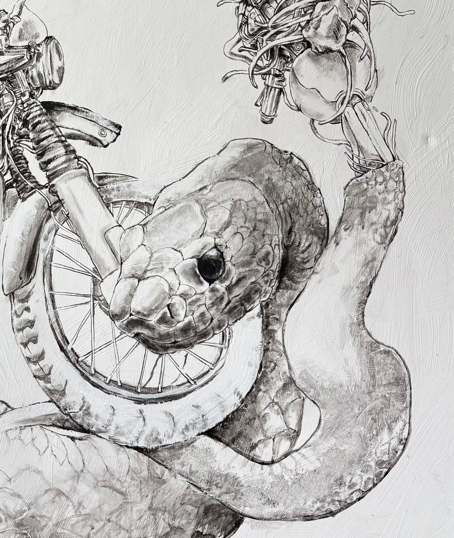 Year of the Snake