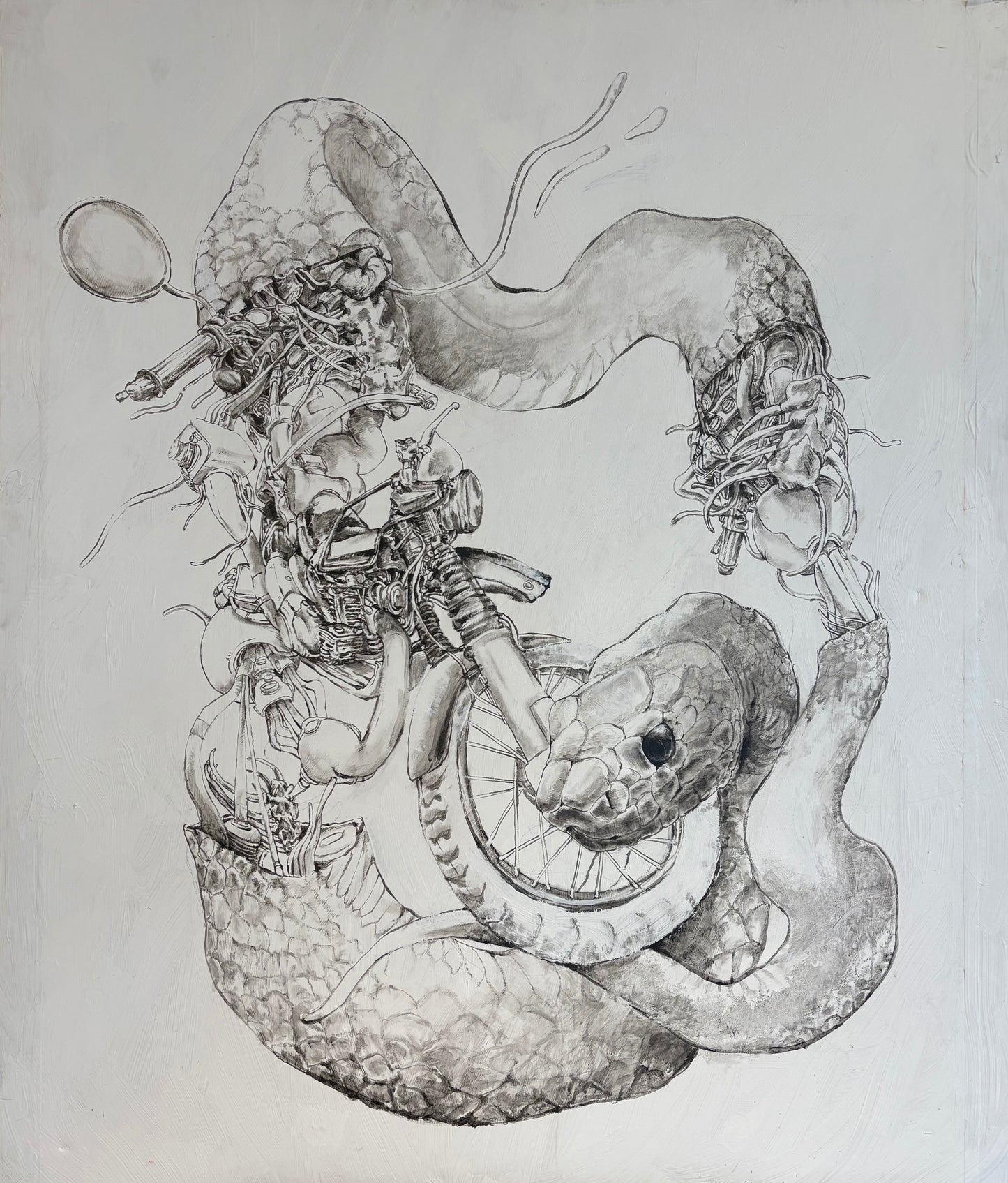 Year of the Snake