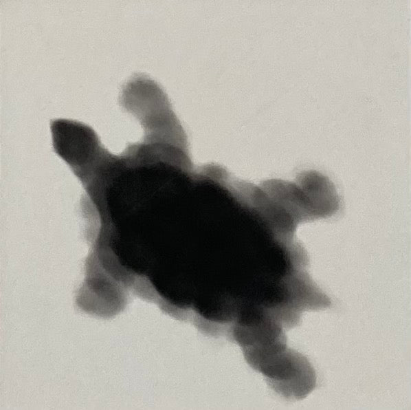 Toy: 1 (turtle)