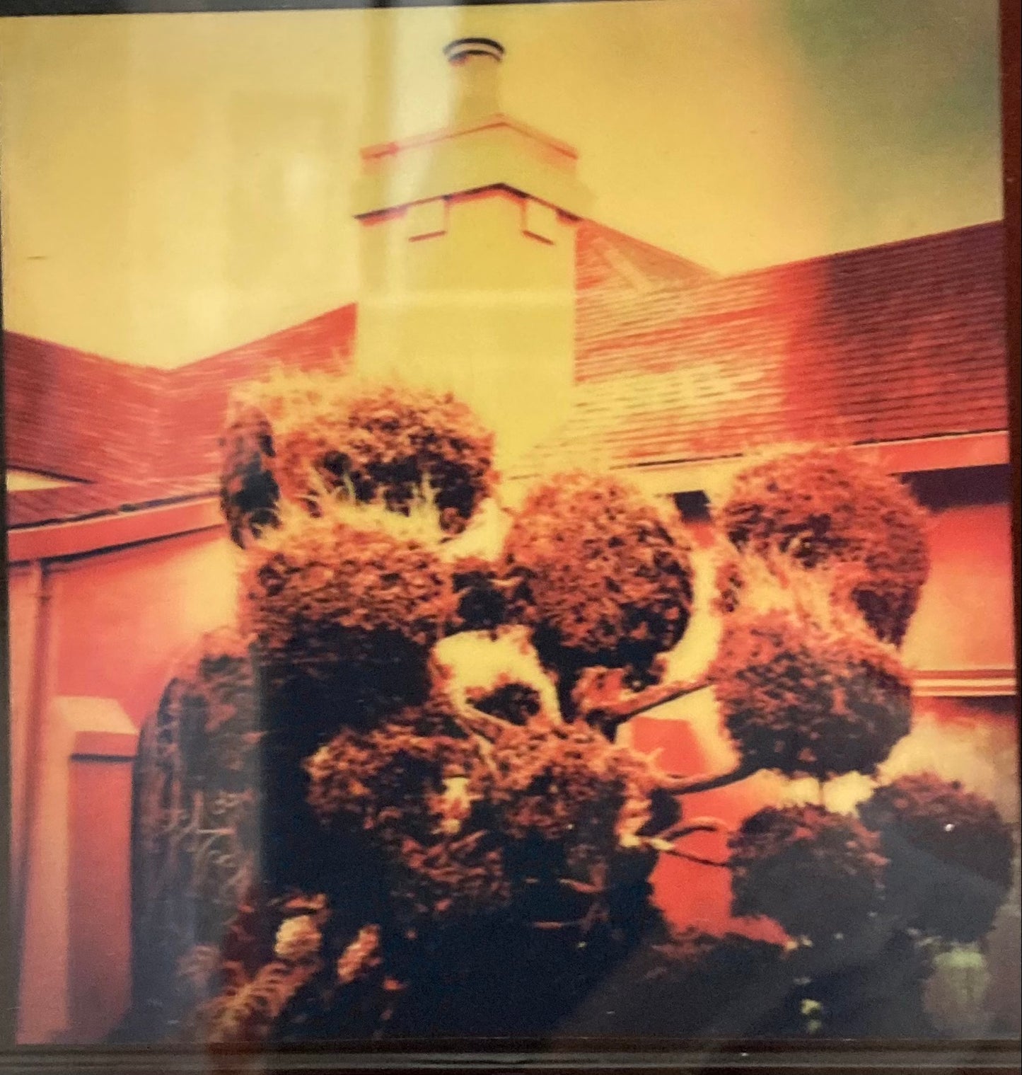 Topiary, Lakeside