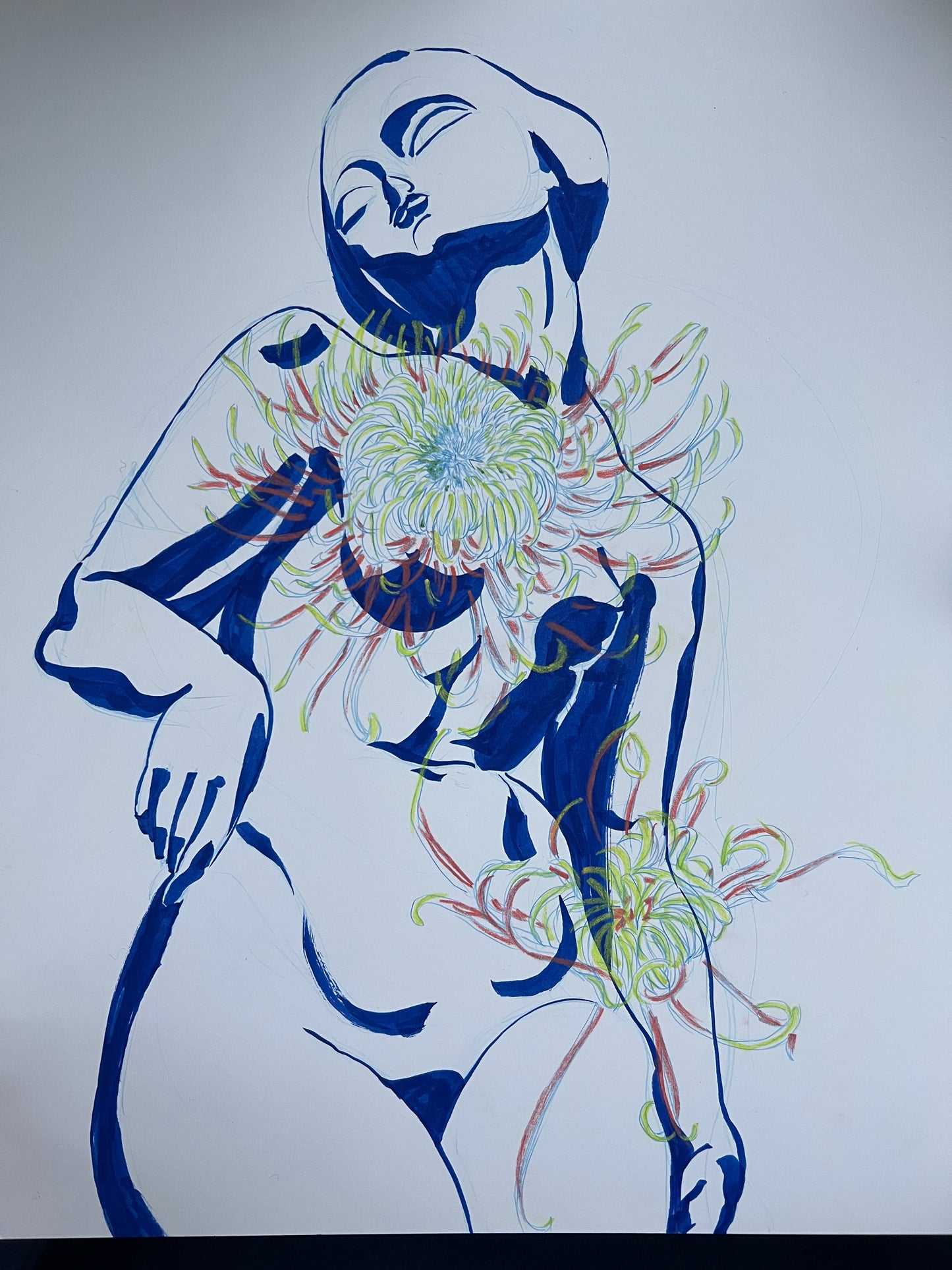 Chrysanthemum