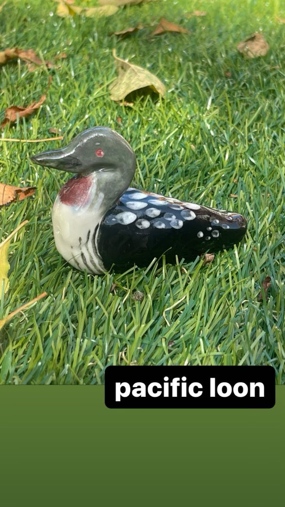 Submerge/Hapa Confessions Ducks