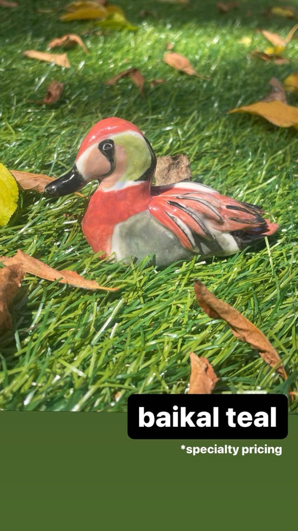 Submerge/Hapa Confessions Ducks