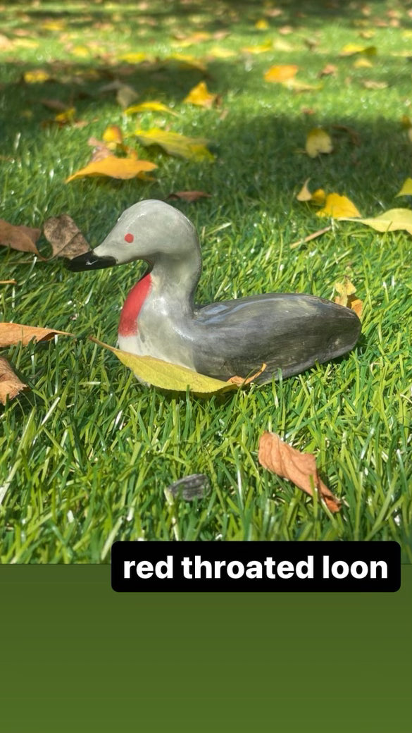 Submerge/Hapa Confessions Ducks
