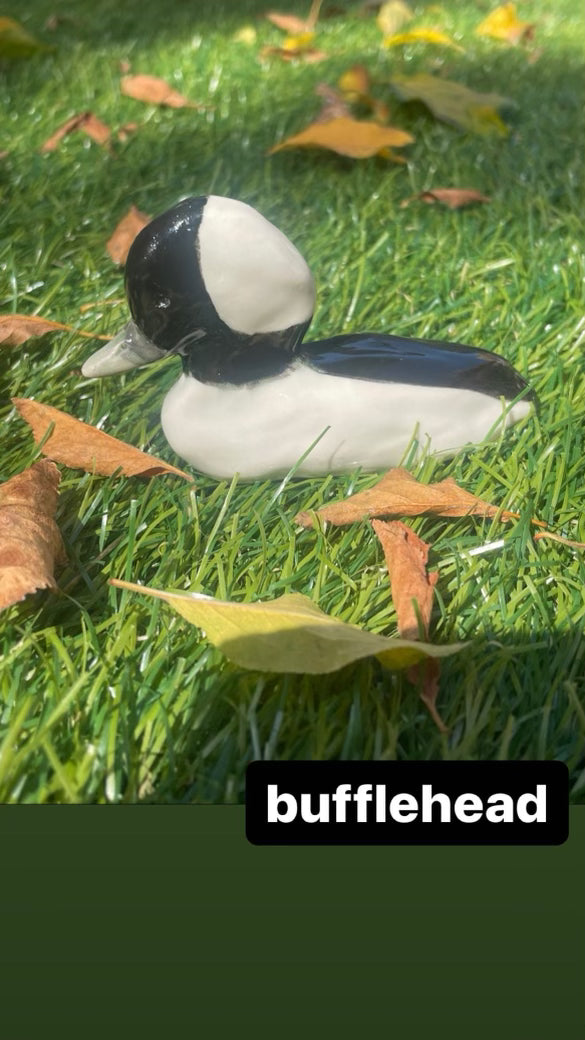 Submerge/Hapa Confessions Ducks