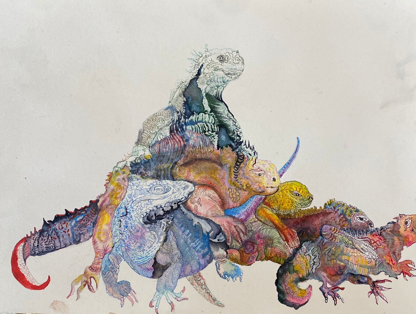 Unfinished Iguanas