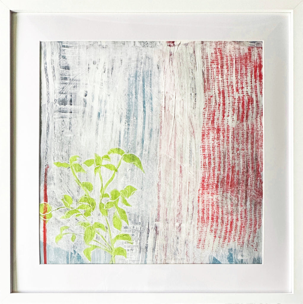 Basil with Red Stripes