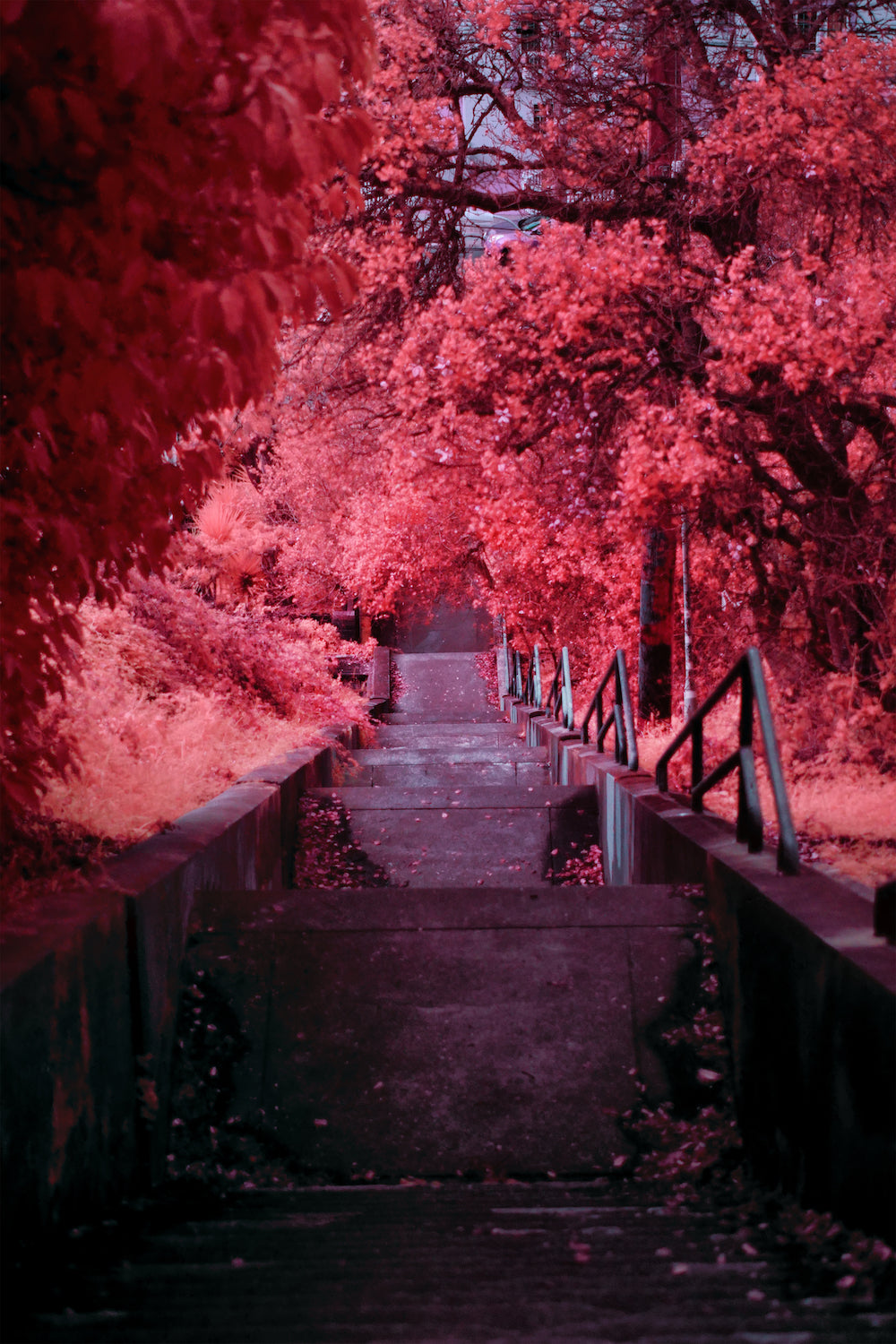 Premonitions 7