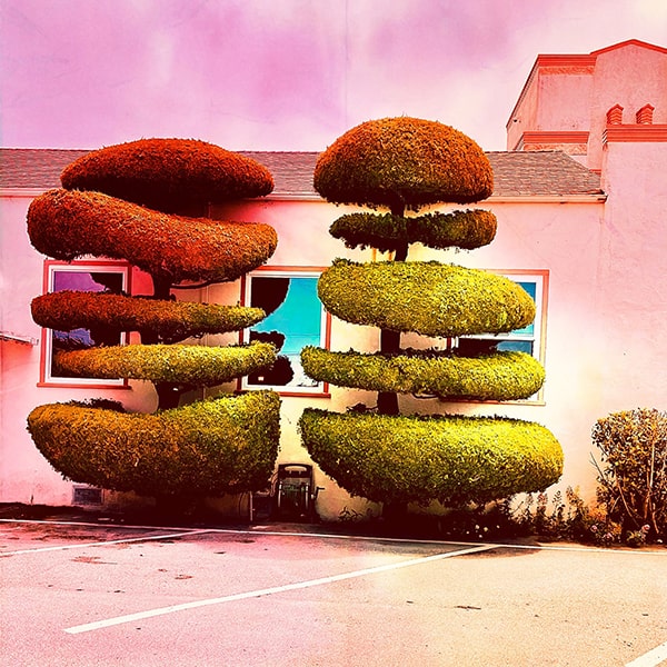 Topiary #002
