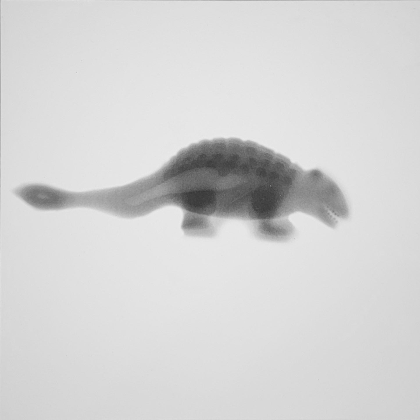 Toy: 27 (armadillo)