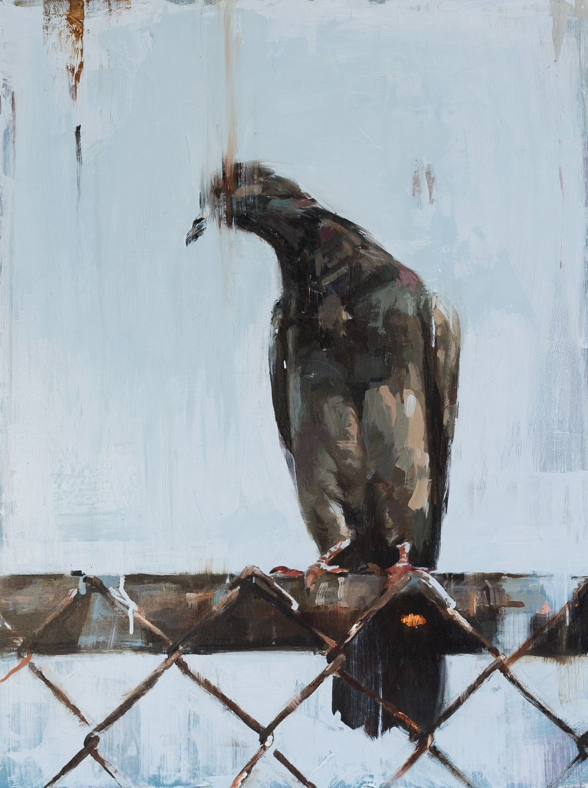 Chainlink Pigeon