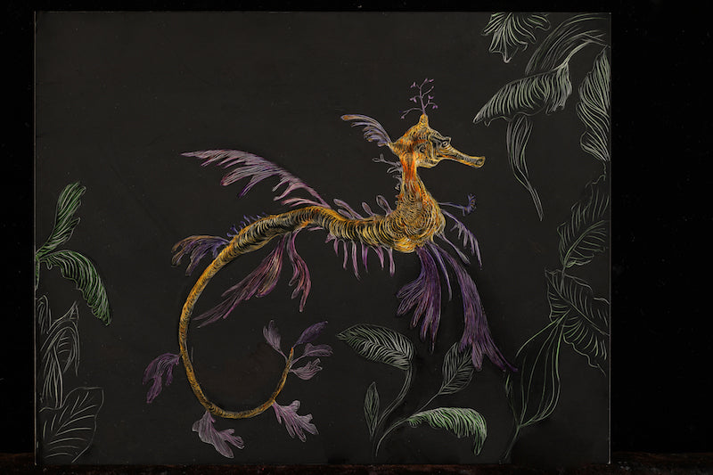 Leafy Sea Dragon