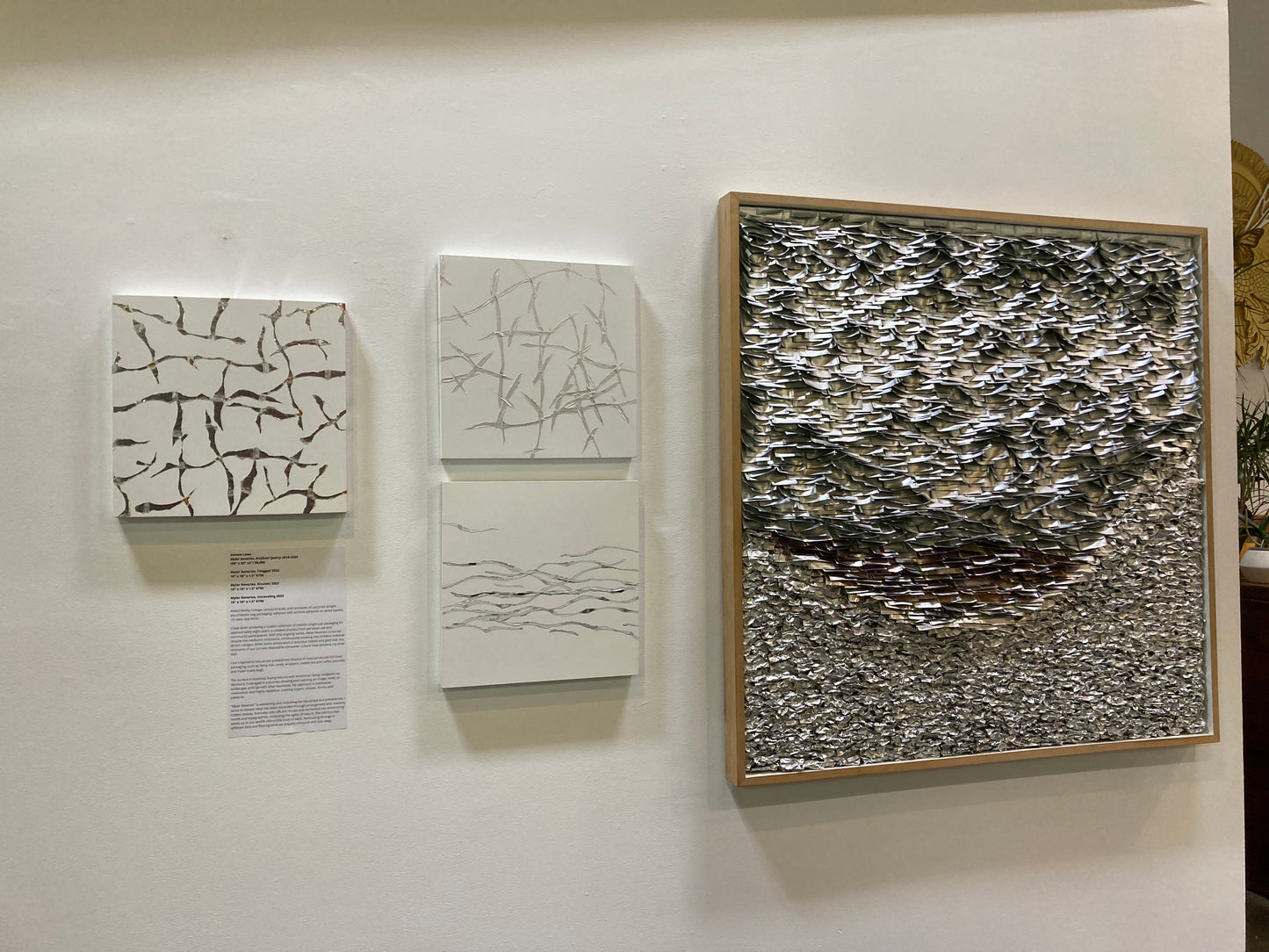 Mylar Reveries: Twigged