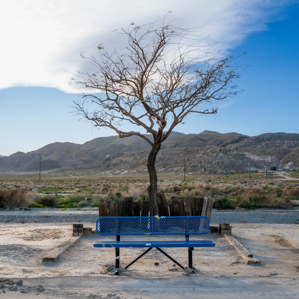 Bus Stop Series: Trona