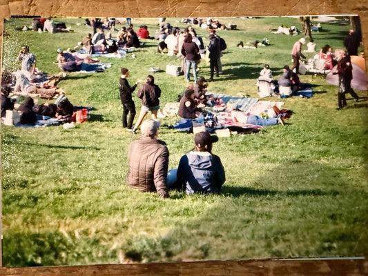 Dolores Park With You