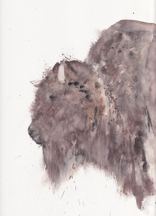 G. Bison