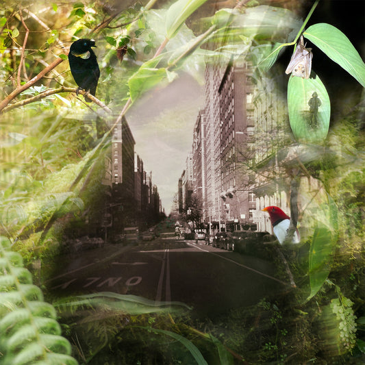 Where the Spirit Dwells