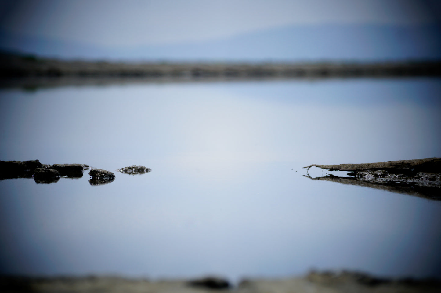 Eden Landing Bird Sanctuary
