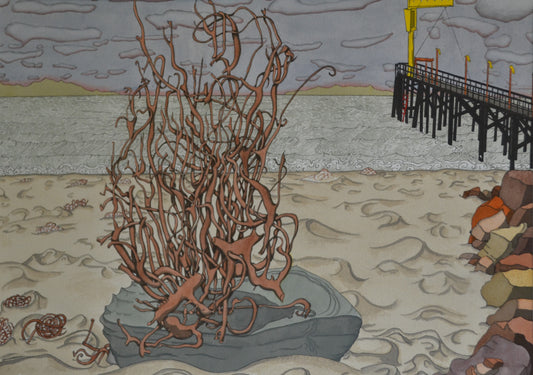 Gaviota Before the Oil Spill