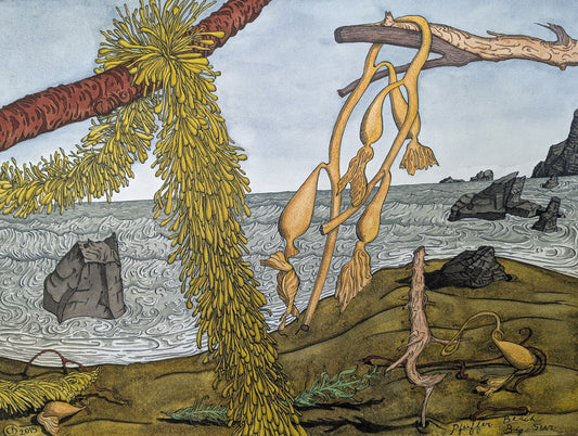 Pfeiffer Beach, Big Sur