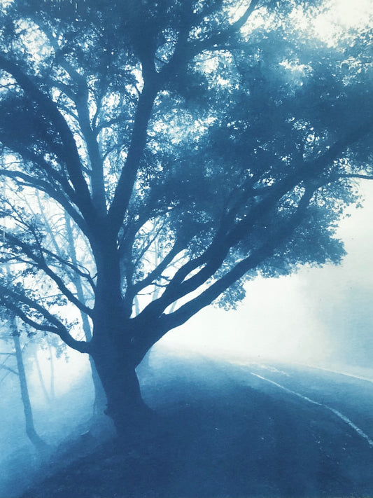 The Journey