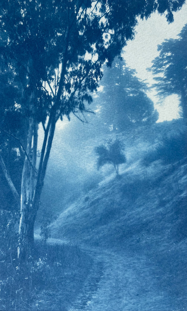 Winding Path