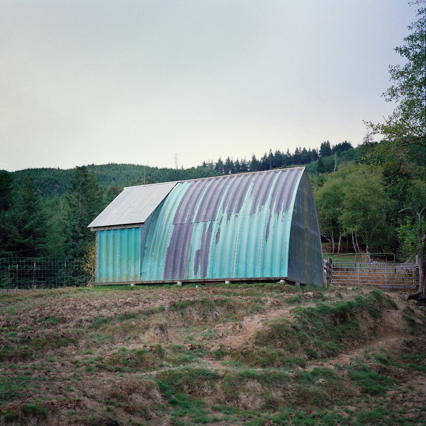 Garage in Field, Eugene, Oregon