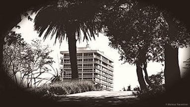 View from Lafayette Playground
