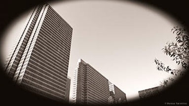 View from Sue Bierman Playground
