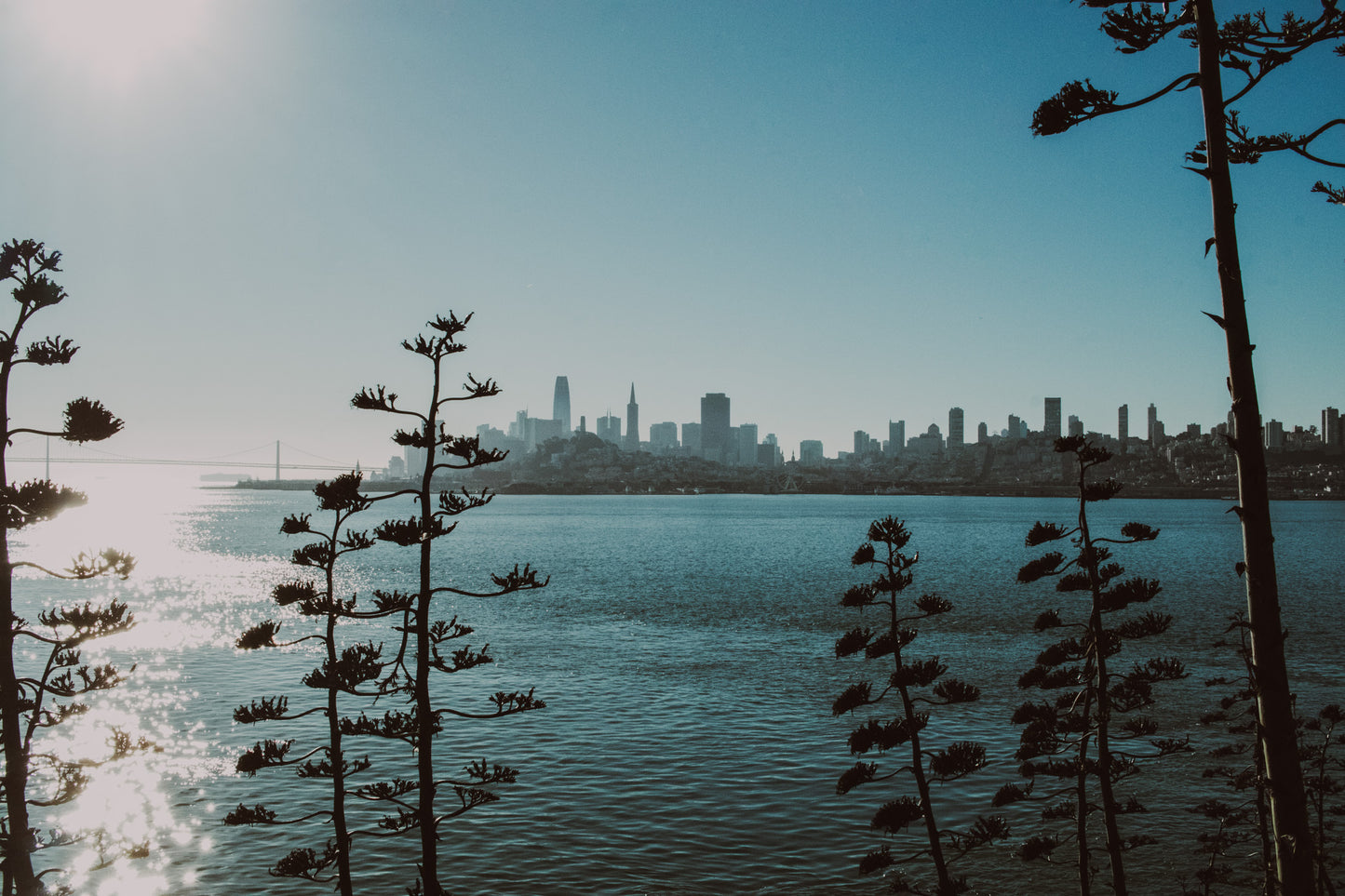 Blue Hues of Harmony - The Quiet Dialogue Between City and Sea