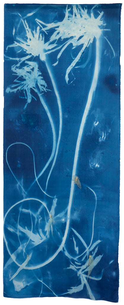 Sea Forest 4