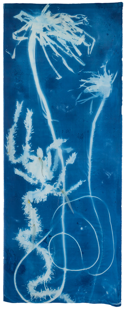 Sea Forest 5