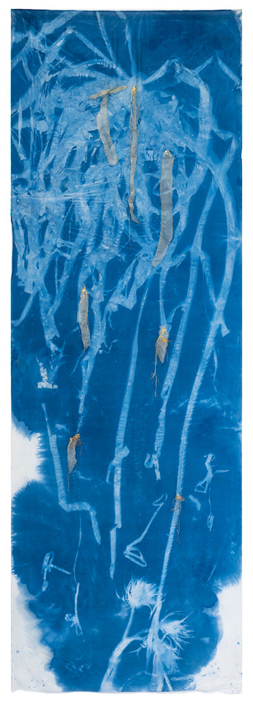 Sea Forest 9