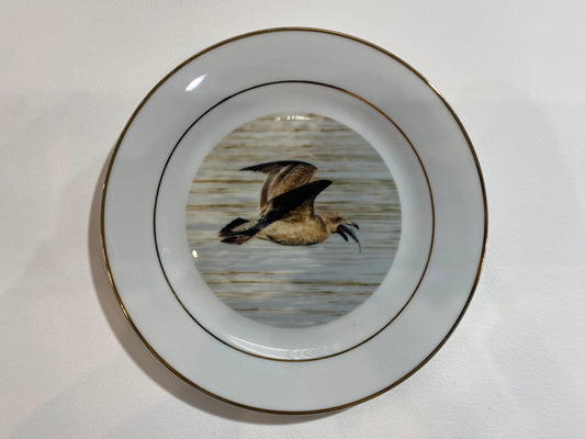 Scenes from Nature: Western Gull Eats Fish