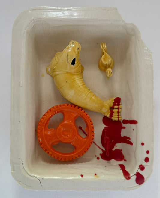 Clamshell Series 1