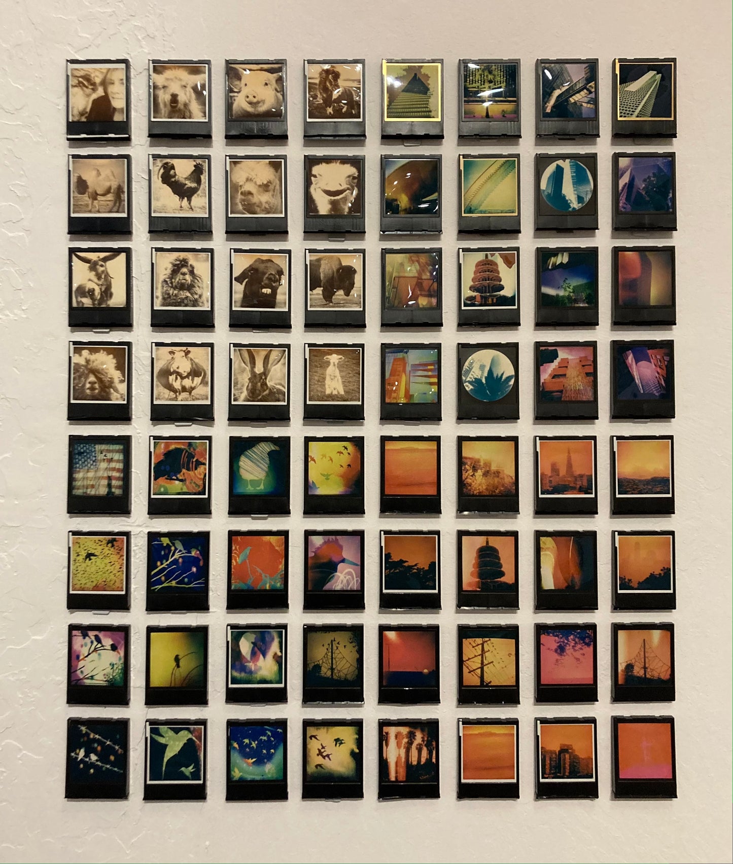 SoMA ReDux Polaroids