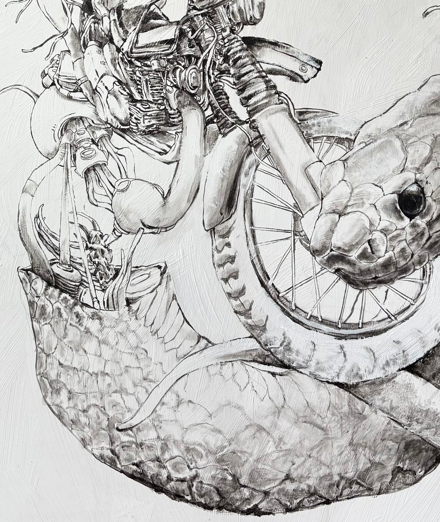Year of the Snake