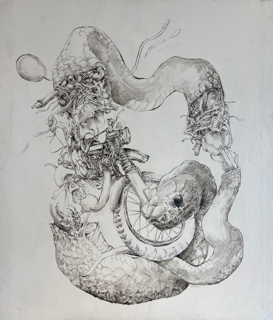 Year of the Snake