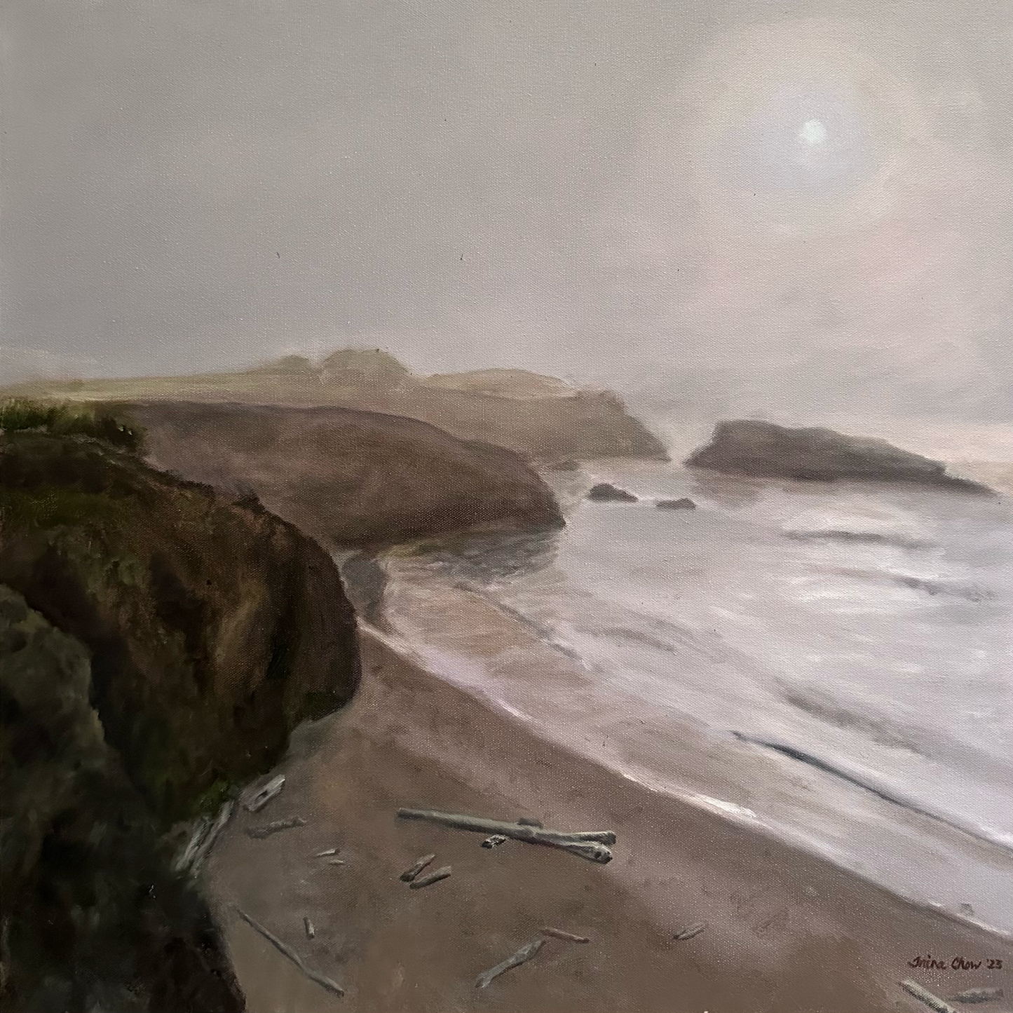 Mendocino Coast
