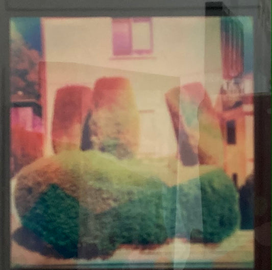 Topiary, Los Angeles, CA