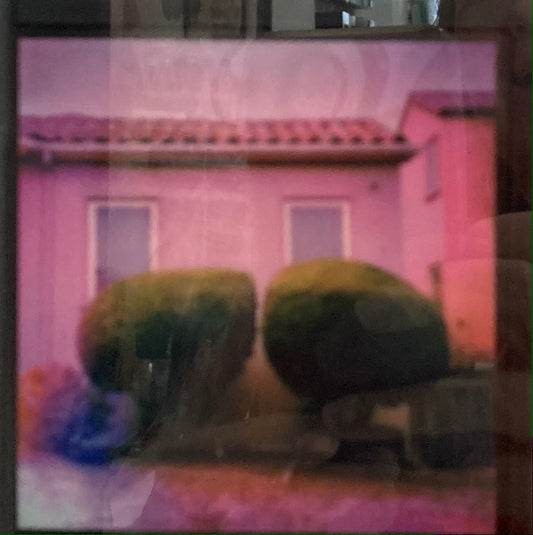Topiary, Ingleside Terraces 2