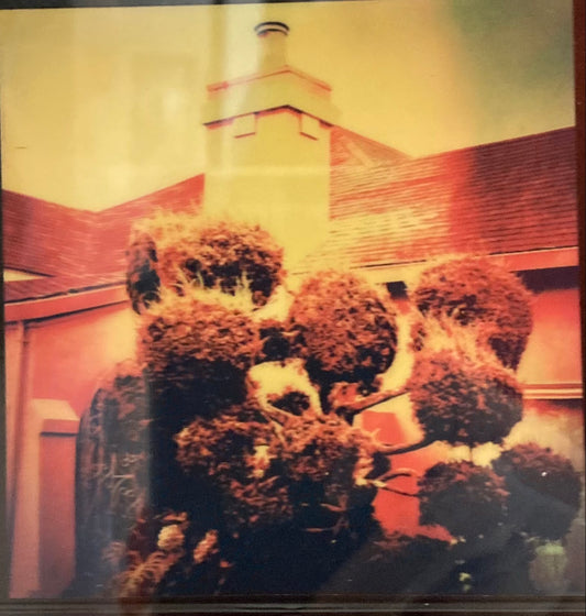 Topiary, Lakeside