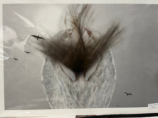 Ocean Wings - Dreams Series