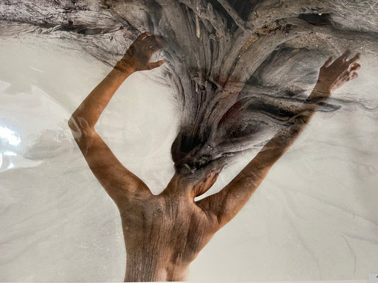 Inner Strength - Dreams