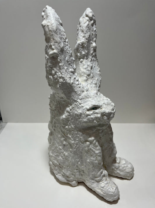 Disapproving Bunny - Space Force Tempeh